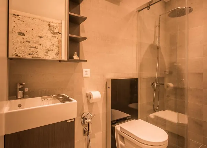 Apartment Dependance Penthouse Interlaken