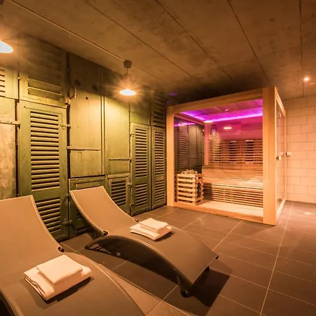 Dependance Penthouse 아파트 인터라켄