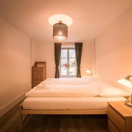 Dependance Penthouse 아파트 인터라켄